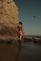 Malibu Beach Bottom