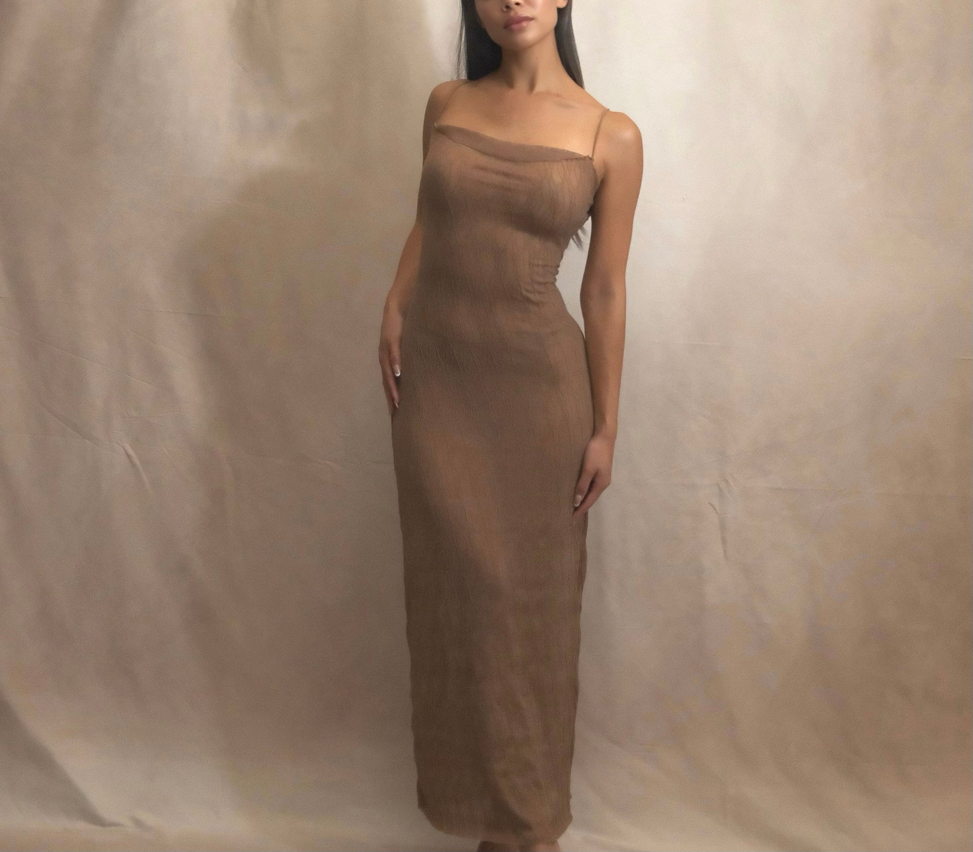 Brown Sheer Mesh Dress | Beige Sample Brown Sheer Mesh Dress | Beige Sample